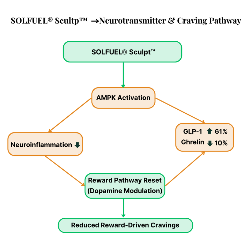 SolFuel® Sculpt™