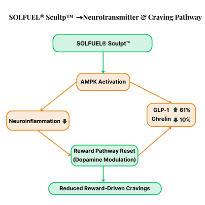 SolFuel® Sculpt™
