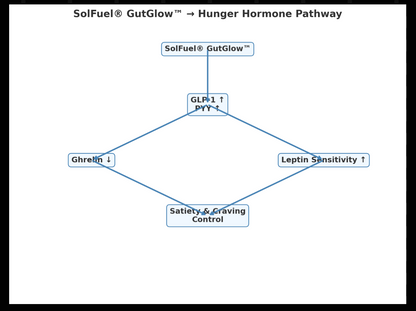 SolFuel® GutGlow™